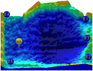 5.gif