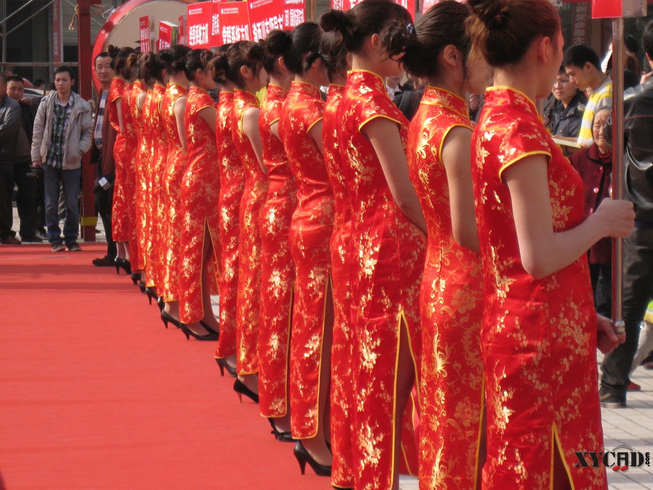 复件 IMG_0484.jpg
